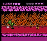 Battletoads sur Nintendo Nes